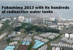 text-Fukushima-2013-1