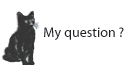 text-cat-question